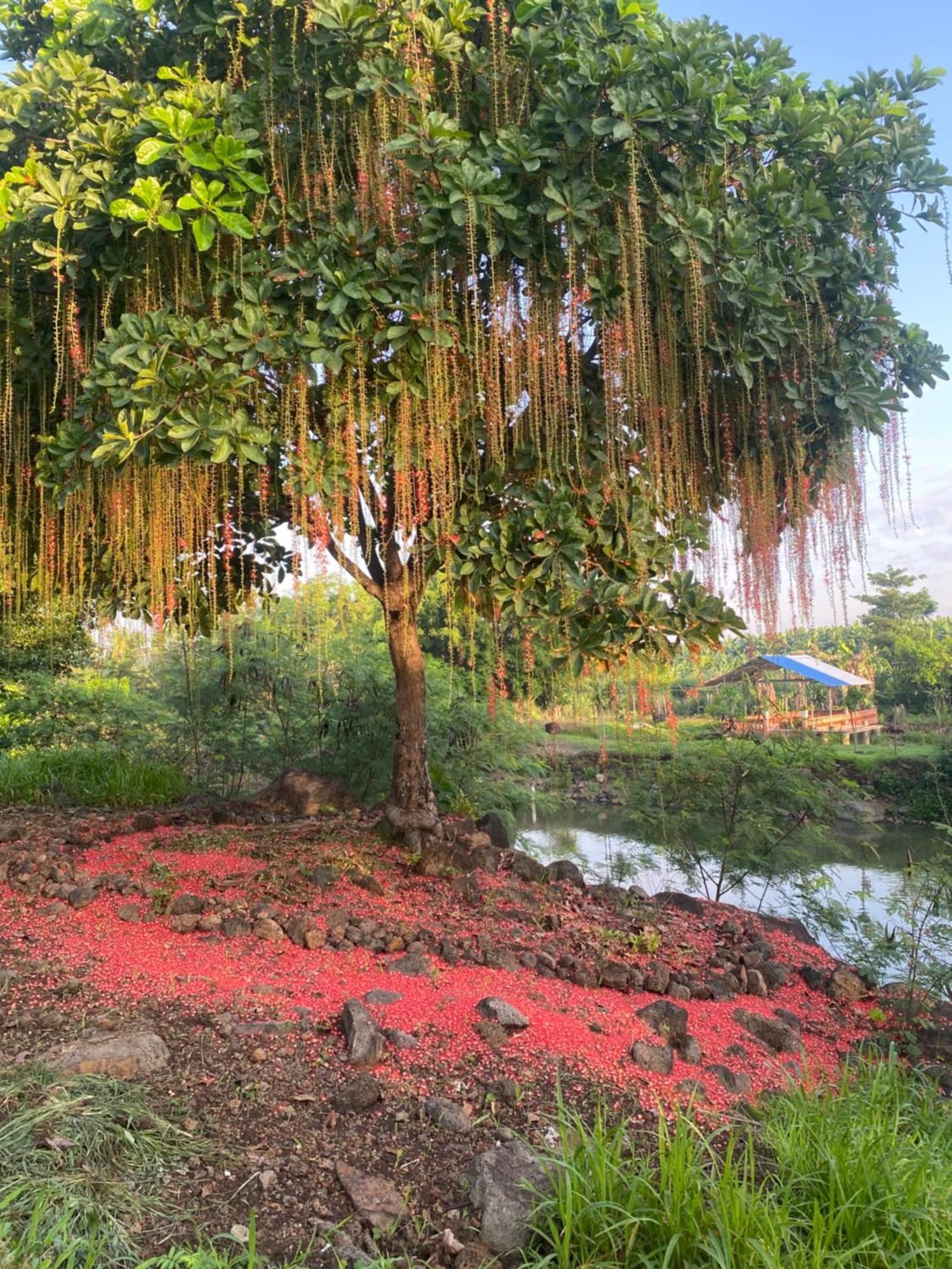 Homestay Tay Xa Trang Bom Exterior photo